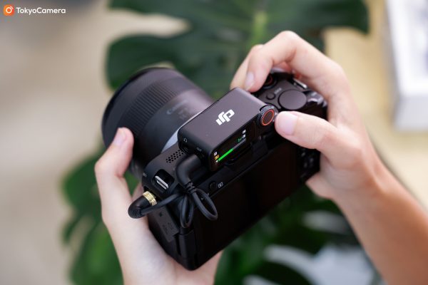 DJI Mic 3 (1TX+1RX) có thể kết nối với đa dạng thiết bị