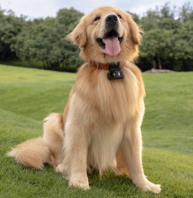 ra mắt dji osmo nano